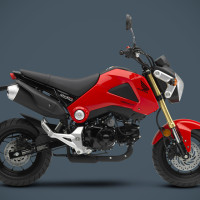 2014 Honda Grom Motorcycle