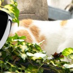 EYENIMAL lets your pet be your videographer