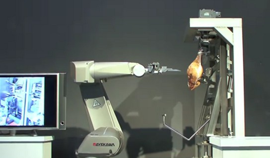 HAMDAS-R Deboning Robotic Arm 544px