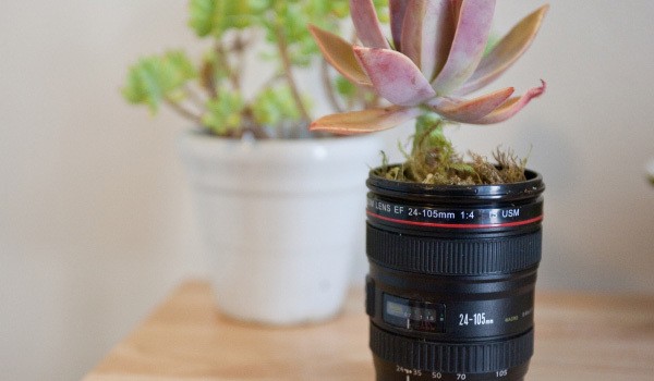 Photojojo The Camera Lens Mug as a flower pot 544px