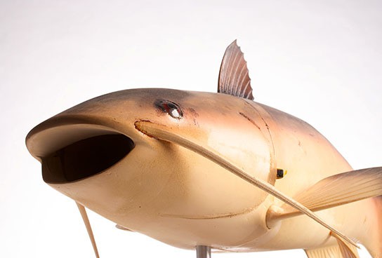 CIA Spy Gadgets - Robot Fish "Charlie" 544x368px