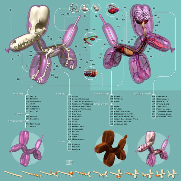 Jason Freeny “Pneumatic Anatomica” illustration 600x600px
