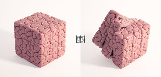 Jason Freeny Rubik's Cube embedded inside brain sculpt 544x262px