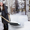 Shovel Master - this how we should shovel 600x340px