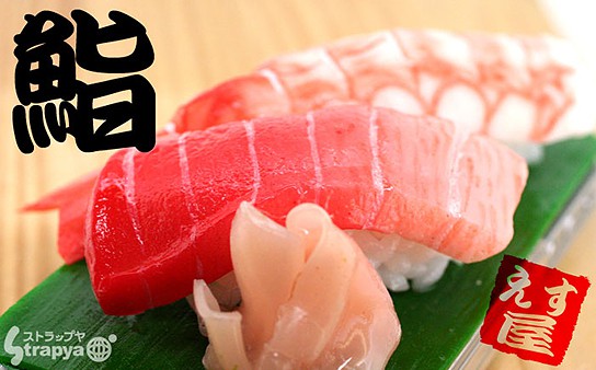 iMeshi Japanese Sushi iPhone 4 cover 544x338px
