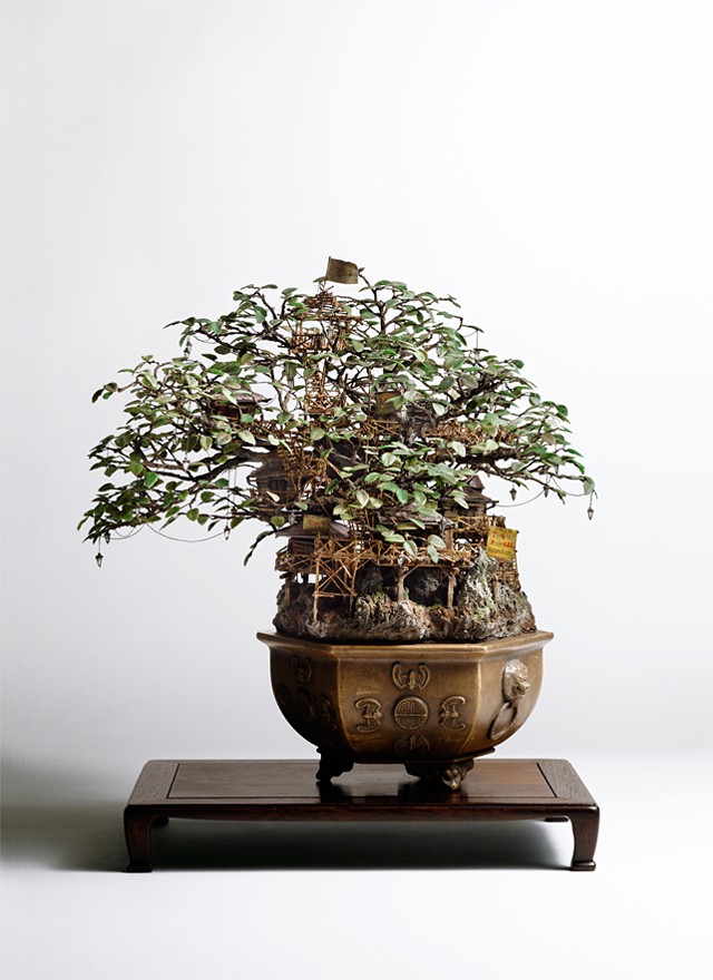 Takanori Aiba's Bonsai Art(chitecture) - Bonsai-A