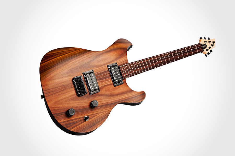 Sinuous Guitar Model SD-22