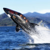 Seabreacher Y Killer Whale Submarine