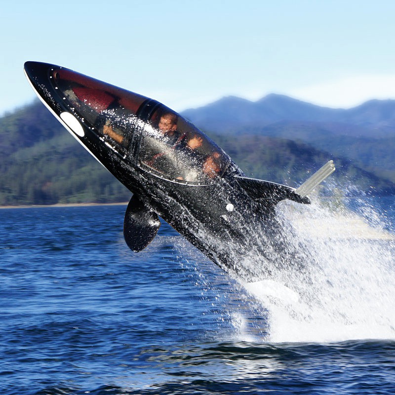 Seabreacher Y Killer Whale Submarine
