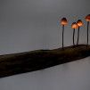 LED Mushroom Desk Lamps