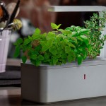 Smart Herb Garden by Click & Glow