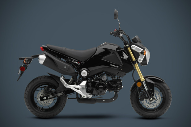 2014 Honda Grom Motorcycle