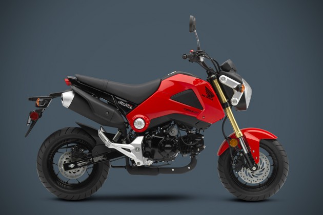 2014 Honda Grom Motorcycle