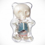 4D Master Anatomical Gummi Bear by Jason Freeny