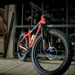 pinion gearbox fat bike