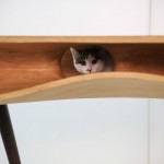 CATable – Finally, A Table For Both Humans And Cats