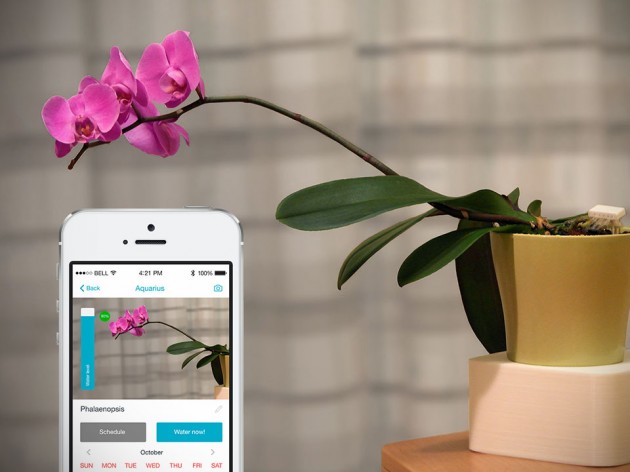 Aquarius Smart Plant Watering System