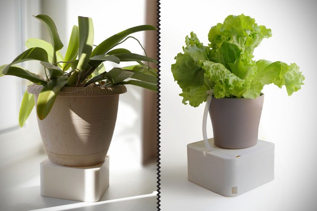 Aquarius Smart Plant Watering System