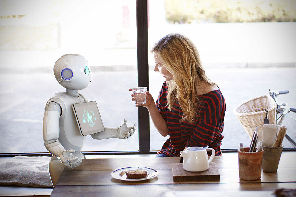 Pepper Personal Robot