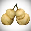 Baby-shaped Pears