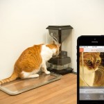 Bistro Smart Cat Feeder Goes Super High-Tech With Cat Facial Recognition