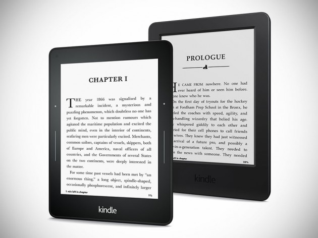 Kindle Voyage and new Kindle