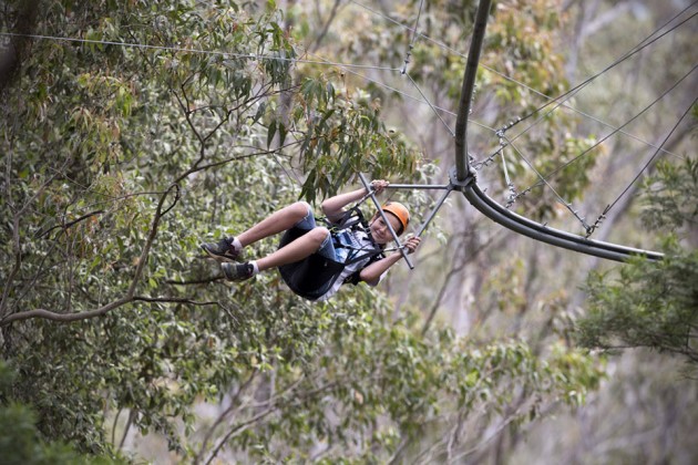 TreeTop Crazy Rider