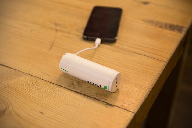 Petalite Flux Portable Battery