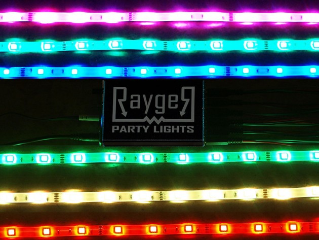 Rayger Frequency Responsive LED Party Light