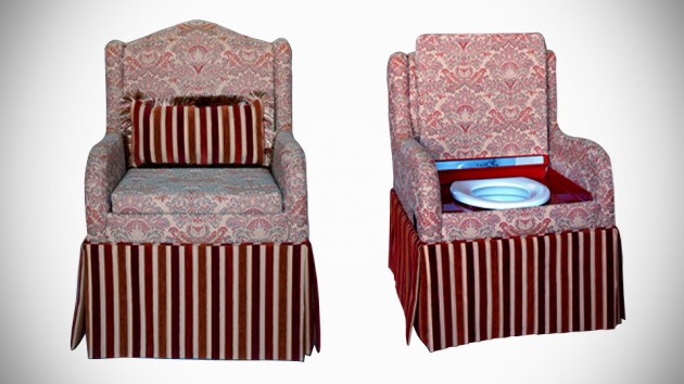 ToilèChic Luxurious Toilet Chair
