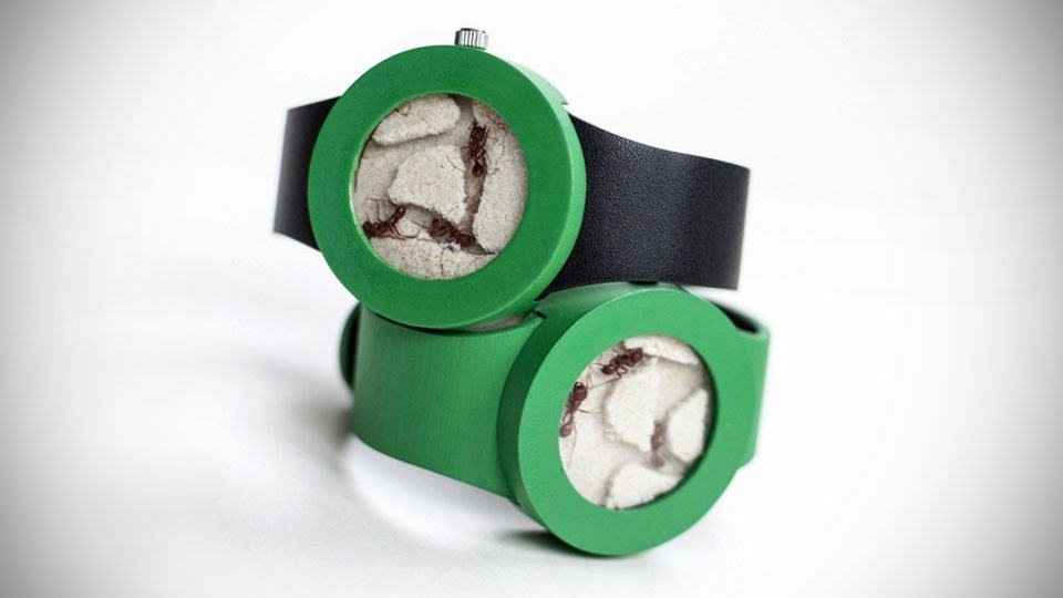 Ant Watch by Analog Watch Co.