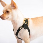 Brikk Introduces Lux Buddy Belt Dog Harness, the Ultimate Opulence for Your Canine Friend