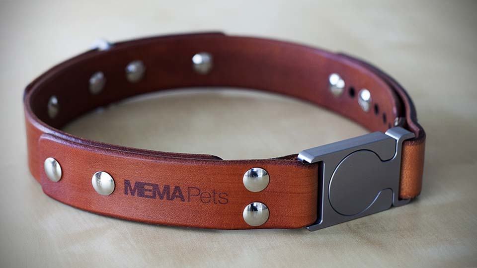 MEMAPets ALU Leather Dog Collar
