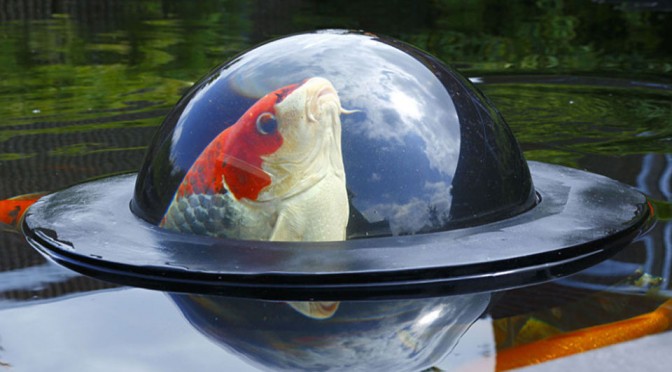 Floating Fish Dome