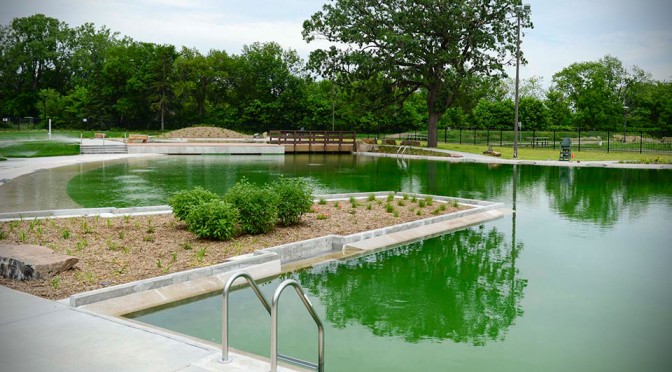 Webber Natural Swimming Pool