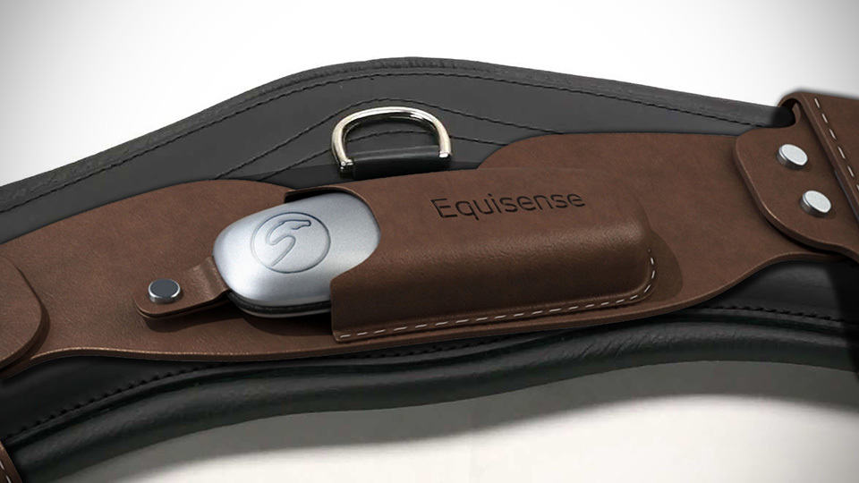 Balios Wearable Activity Tracker for Horses by Equisense