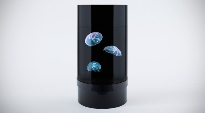 Jellyfish Cylinder Nano Aquarium by Jellyfish Art