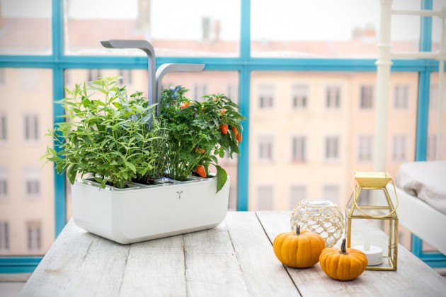 Veritable Autonomous Indoor Garden