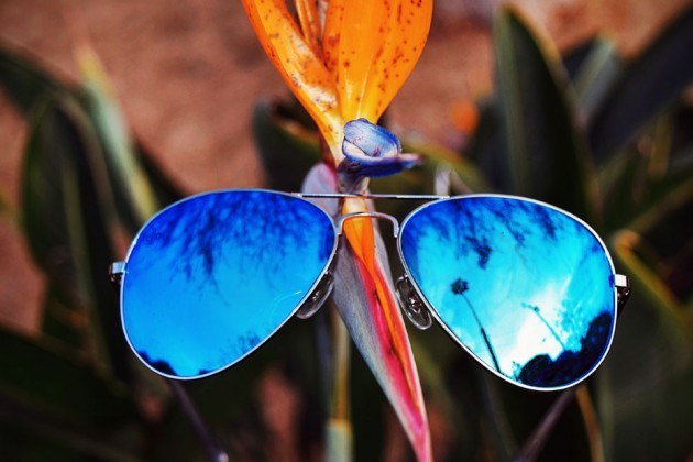 Sunglasses by Fello Eyewear - Heron