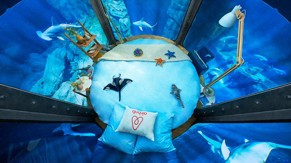 Airbnb The Shark Aquarium Stay