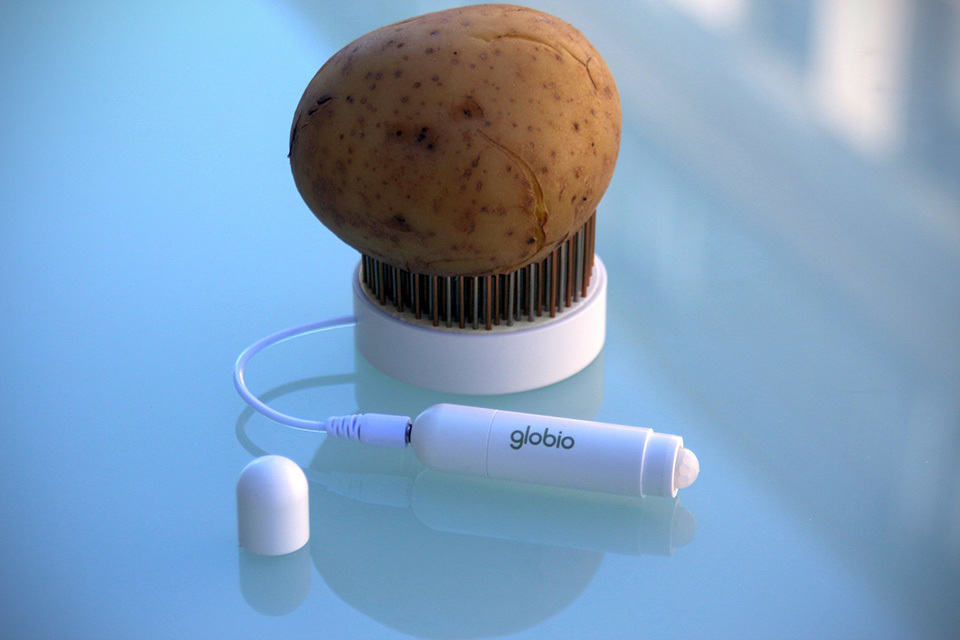 Globio UG Potato-powered Home Security System