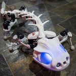 Salamander-like Robot Moves And Wades Thru Water Like The Real Thing