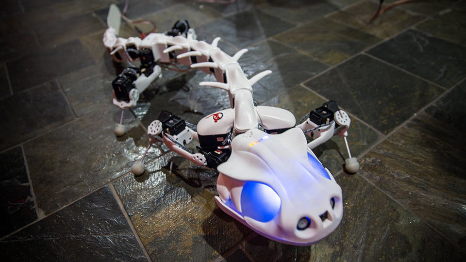 Pleurobot Salamander Robot by EPFL