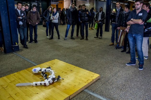 Pleurobot Salamander Robot by EPFL