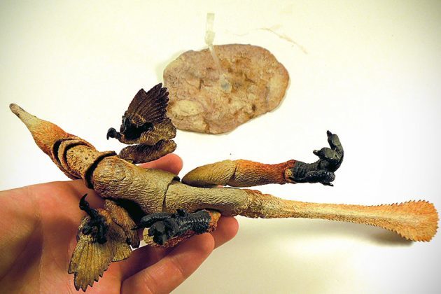 Beasts of the Mesozoic: Dinosaur Action Figures - Raptor Series