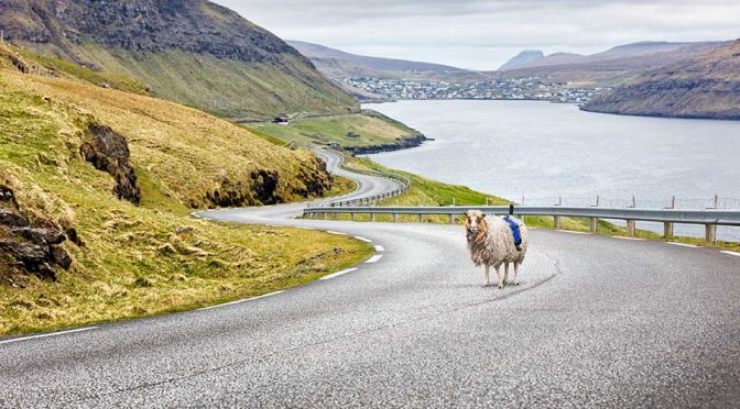 The Faroe Islands SheepView 360 Street View