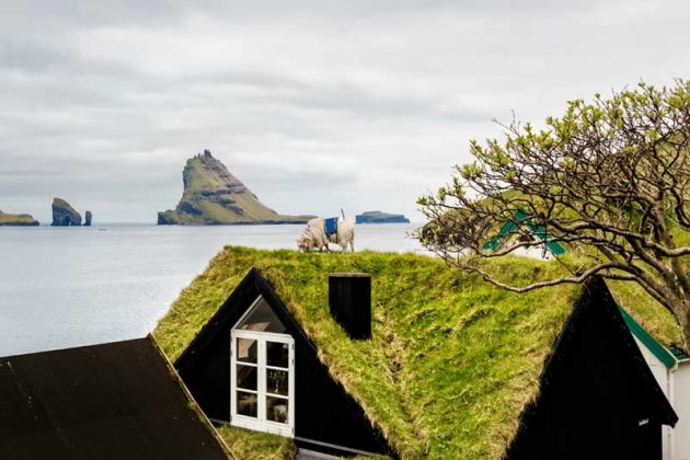The Faroe Islands SheepView 360 Street View