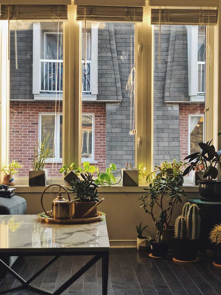 Some Awesome Technology for House Plants